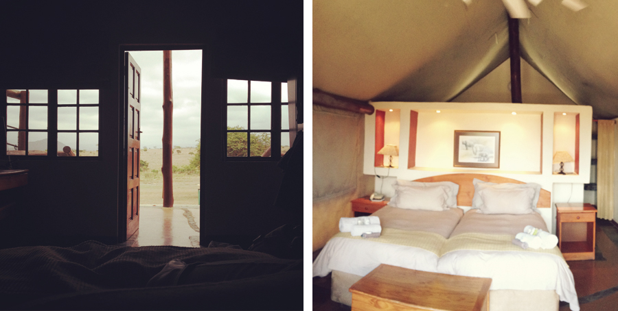 Zulu Nyala Game Lodge and Tents | South Africa