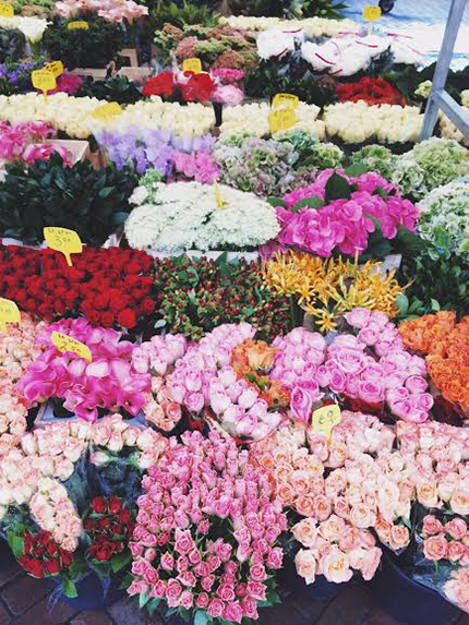 Flower Market Amsterdam