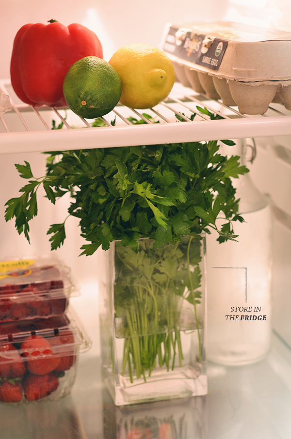 How to store your herbs - place in water and keep in fridge