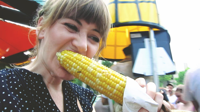 Minnesota State Fair