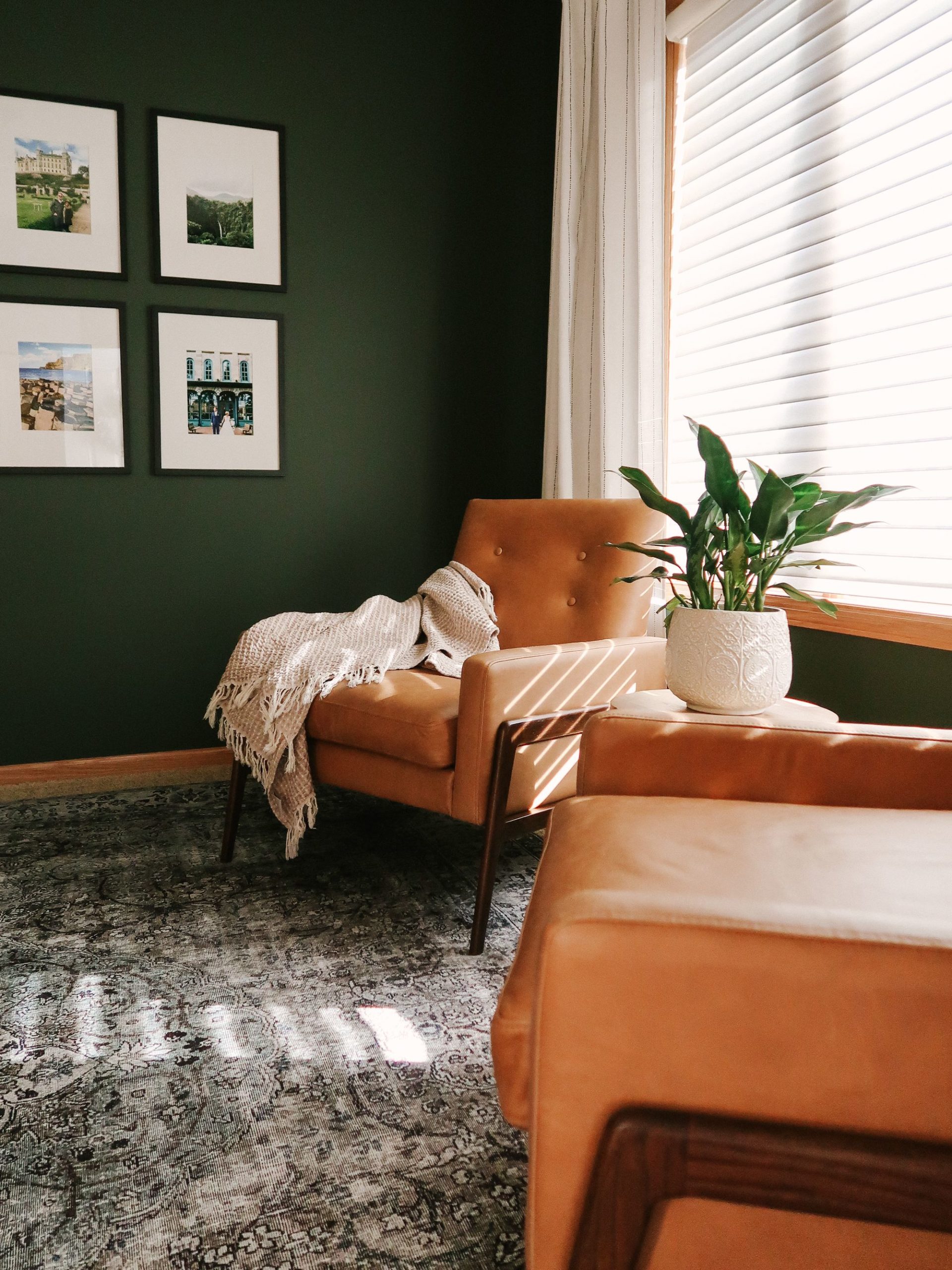 green brown living room